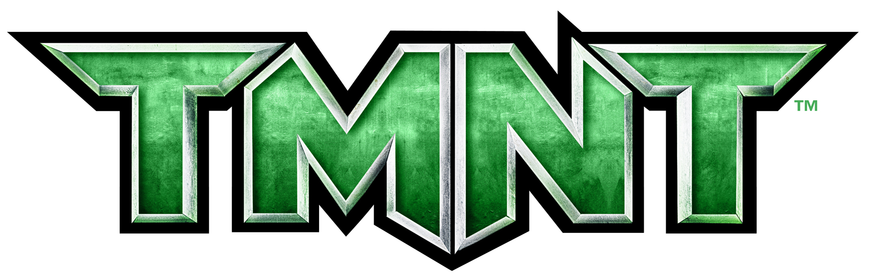 TMNT Logo photo - 1