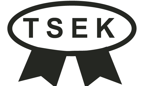 TSEK Logo photo - 1