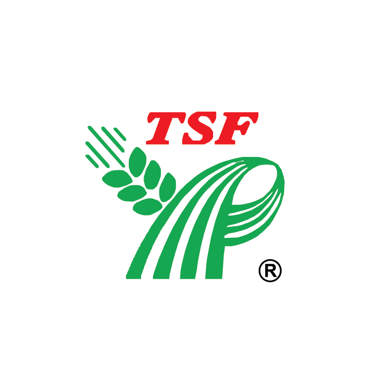 TSF Logo photo - 1