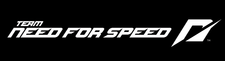 Team Need For Speed Logo photo - 1