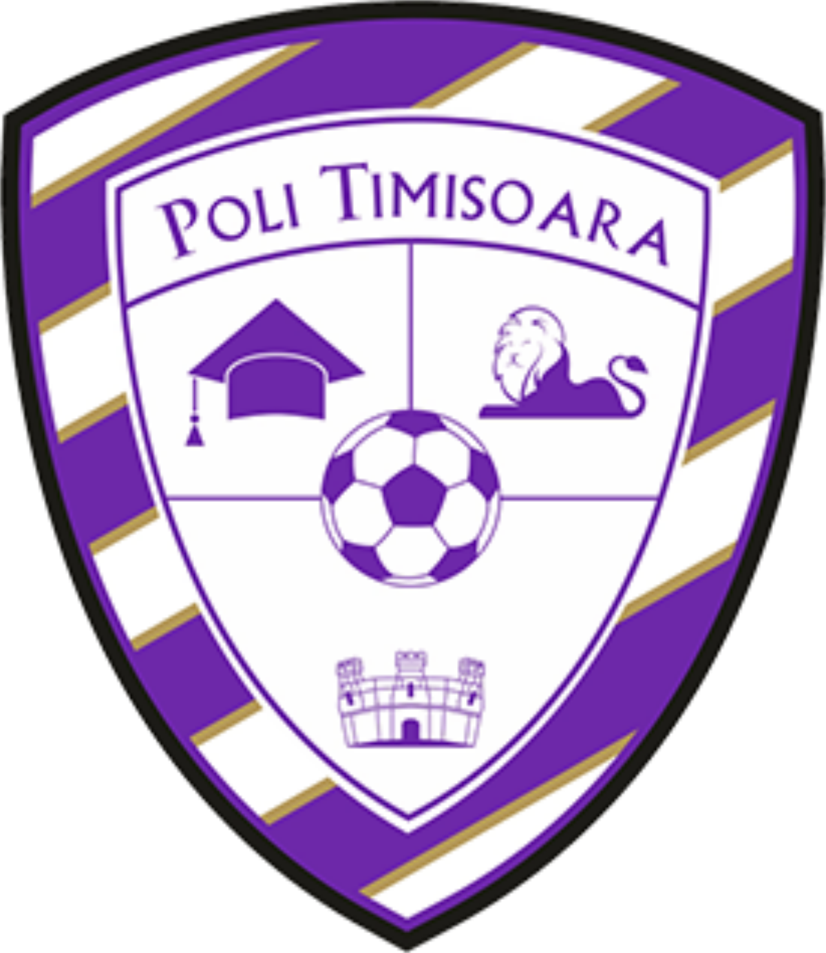 Timisoara Logo photo - 1