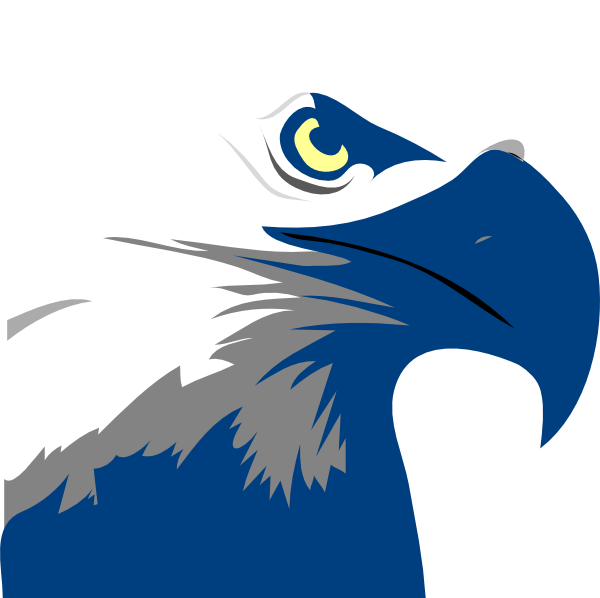 V Eagle Logo photo - 1