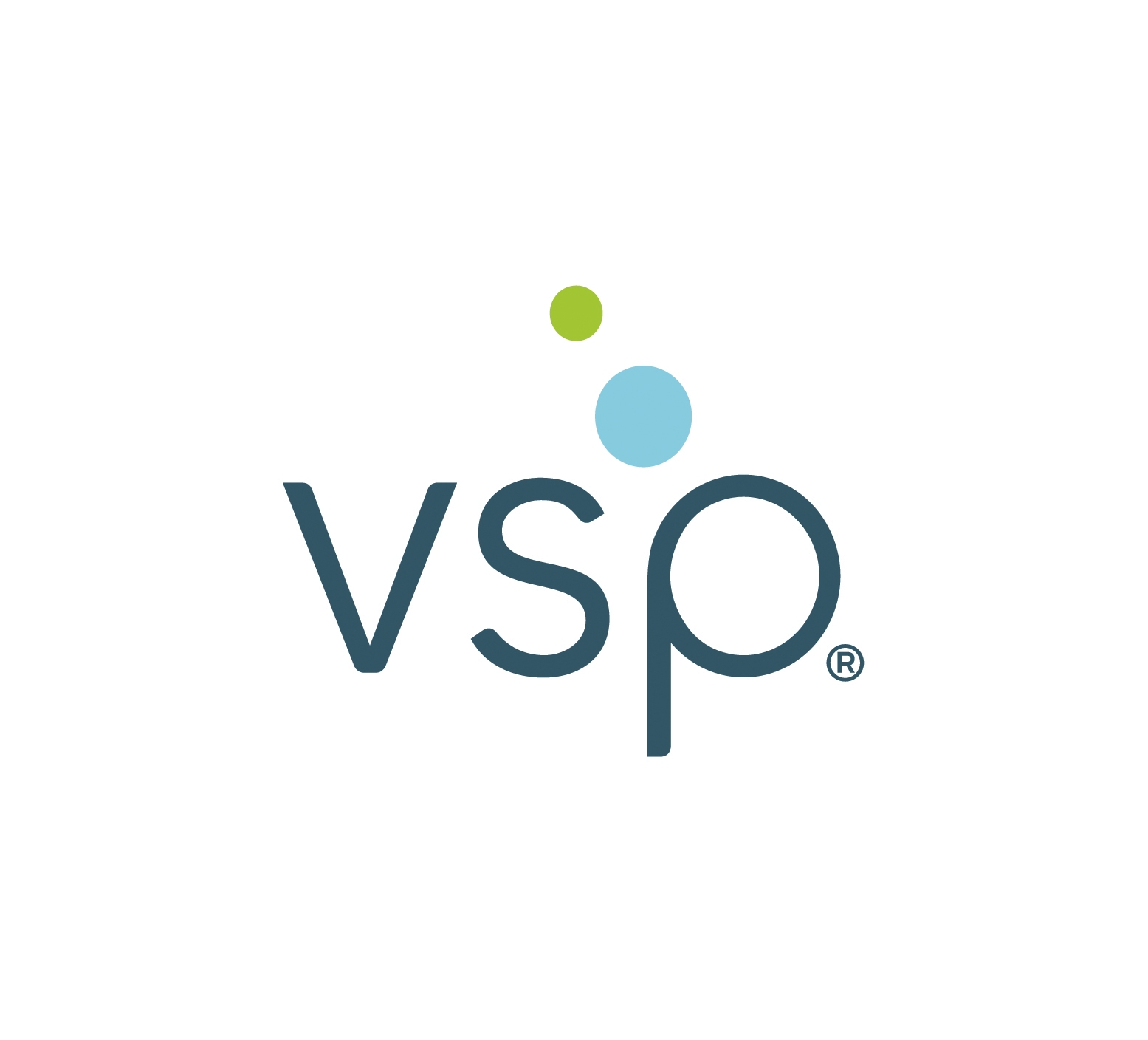 VSP Logo photo - 1