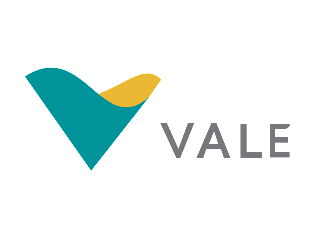 Vale Virtual Logo photo - 1