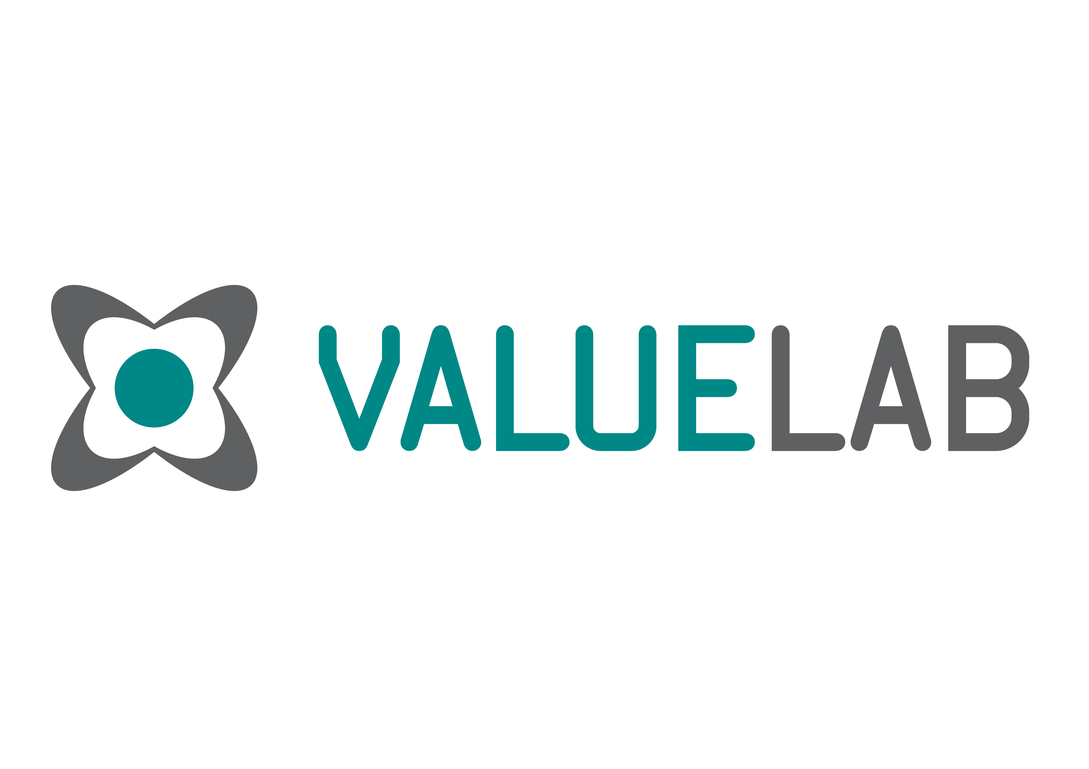 Value Lab Logo photo - 1