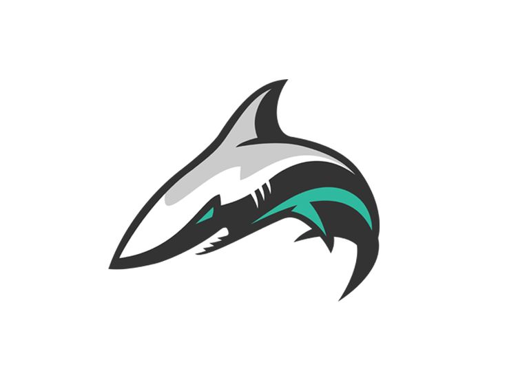 Virtualshark Logo, Image, Download Logo 