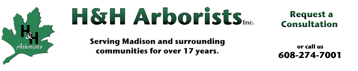 Wisconsin Arborist Association Logo photo - 1