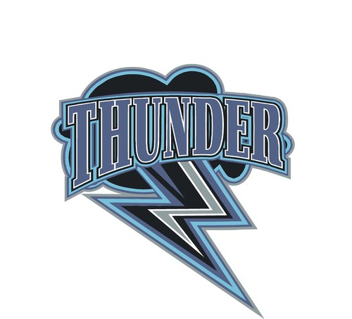 Zimmerman Logo photo - 1