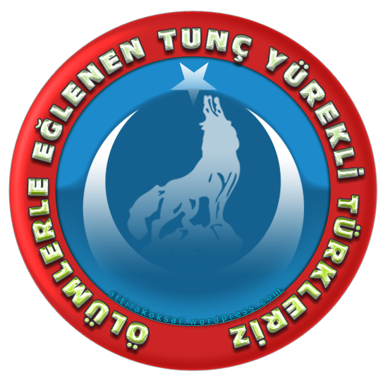 bozkurt Logo photo - 1