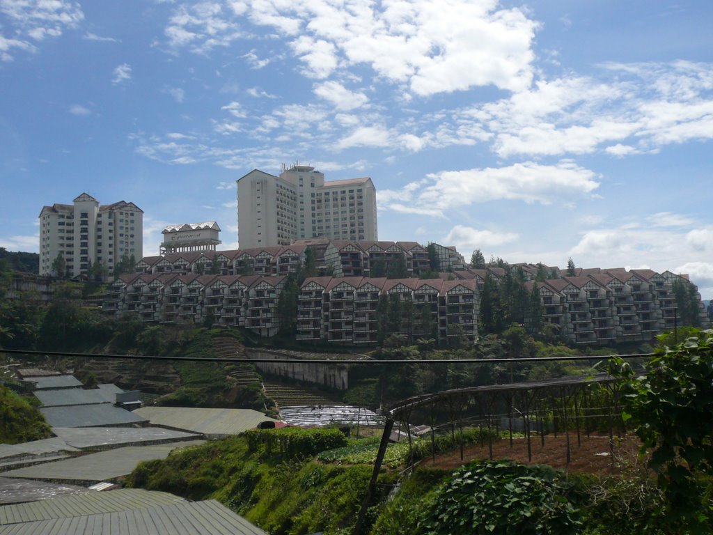 hotel equatorial cameron highlands Logo photo - 1