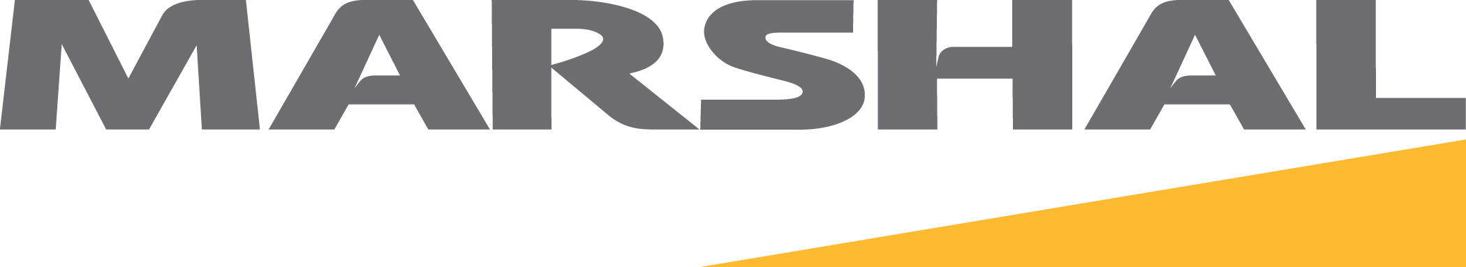 marshal tyre Logo photo - 1