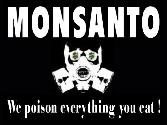 monsanto imagine Logo photo - 1
