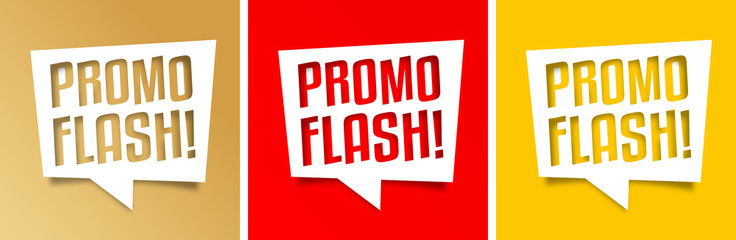 promoflash Logo photo - 1