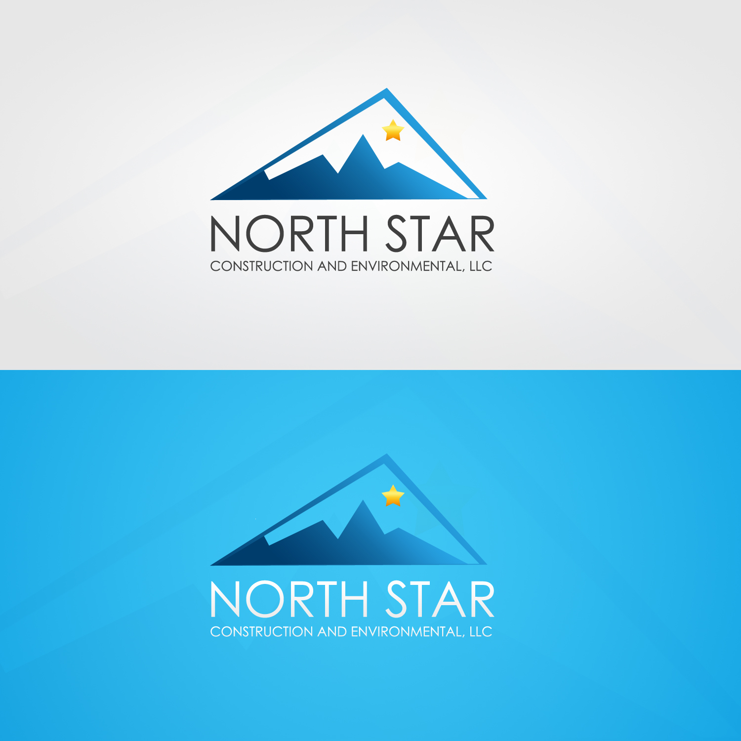 radu north star Logo photo - 1