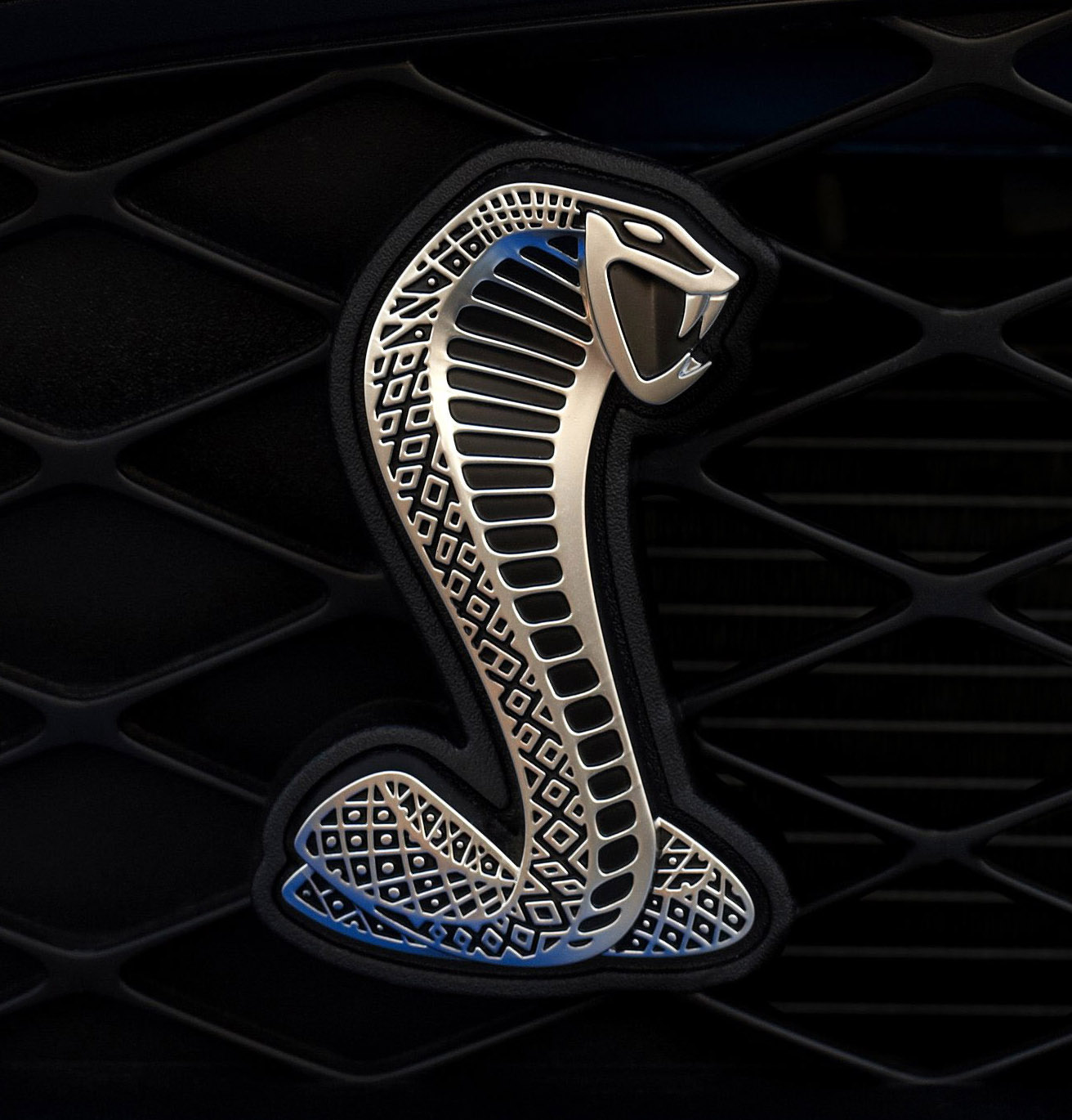 shelby GT 500 badge Logo photo - 1