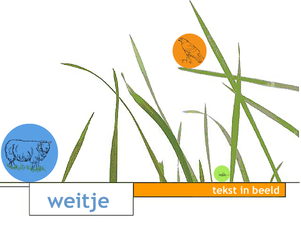 tekst in beeld Logo photo - 1